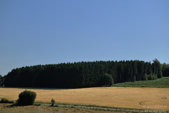 Rural_Fields_Rhineland_Palatinate_Germany_Nature_Photography_Canon_EOS_R5_Mark_II_2026_001.JPG