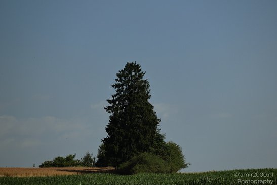 Rural_Fields_Rhineland_Palatinate_Germany_Nature_Photography_Canon_EOS_R5_Mark_II_2026_002.JPG