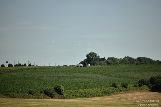 Rural_Fields_Rhineland_Palatinate_Germany_Nature_Photography_Canon_EOS_R5_Mark_II_2026_006.JPG