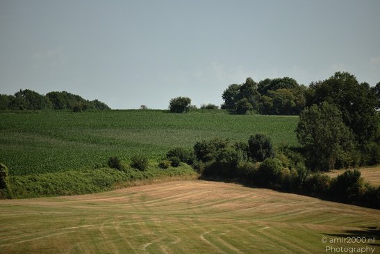 Rural_Fields_Rhineland_Palatinate_Germany_Nature_Photography_Canon_EOS_R5_Mark_II_2026_007.JPG