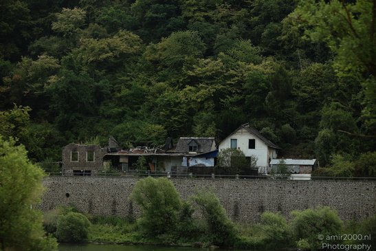 A stone wall in the foreground, with a cluster of buildings and a dense forest in the background - image from year 2026 #003