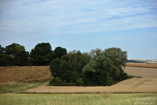 A rural landscape with a patch of trees surrounded by harvested fields, under a partly cloudy - image from year 2026 #004