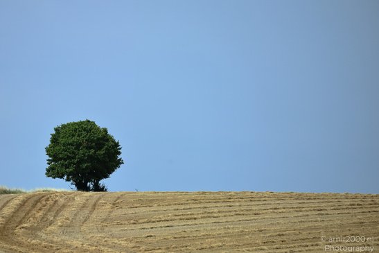 Rural_Landscapes_Rhineland_Palatinate_Germany_Nature_Photography_Canon_EOS_R5_Mark_II_2026_005.JPG