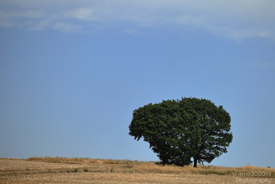 Rural_Landscapes_Rhineland_Palatinate_Germany_Nature_Photography_Canon_EOS_R5_Mark_II_2026_007.JPG