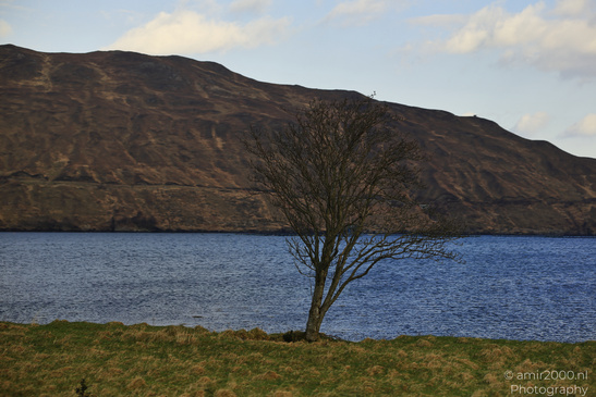 Scenic_Road_Trip_Landscapes_In_The_Isle_Of_Skye_In_The_Scottish_Highlands_Scotland_United_Kingdom_Nature_Photography_Canon_EOS_R5_Mark_II_2026_006.JPG
