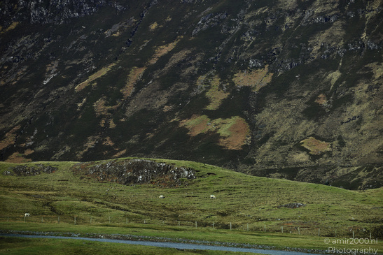 Scenic_Road_Trip_Landscapes_In_The_Isle_Of_Skye_In_The_Scottish_Highlands_Scotland_United_Kingdom_Nature_Photography_Canon_EOS_R5_Mark_II_2026_021.JPG