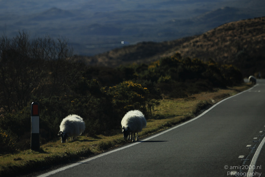 Scenic_Road_Trip_Landscapes_In_The_Isle_Of_Skye_In_The_Scottish_Highlands_Scotland_United_Kingdom_Nature_Photography_Canon_EOS_R5_Mark_II_2026_029.JPG