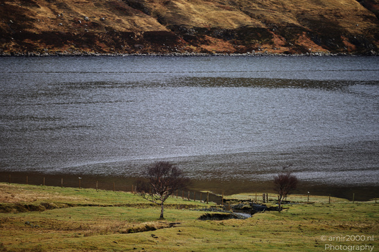 Scenic_Road_Trip_Landscapes_In_The_Isle_Of_Skye_In_The_Scottish_Highlands_Scotland_United_Kingdom_Nature_Photography_Canon_EOS_R5_Mark_II_2026_082.JPG