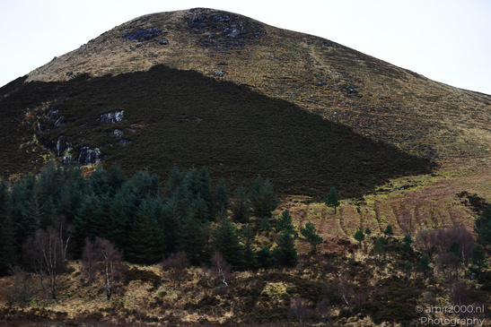 Scenic_Road_Trip_Landscapes_In_The_Isle_Of_Skye_In_The_Scottish_Highlands_Scotland_United_Kingdom_Nature_Photography_Canon_EOS_R5_Mark_II_2026_088.JPG