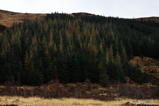 Scenic_Road_Trip_Landscapes_In_The_Isle_Of_Skye_In_The_Scottish_Highlands_Scotland_United_Kingdom_Nature_Photography_Canon_EOS_R5_Mark_II_2026_089.JPG