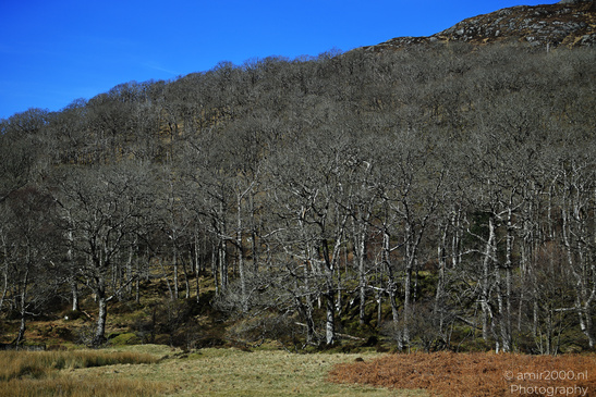 Scenic_Road_Trip_Landscapes_In_The_Scottish_Highlands_Scotland_United_Kingdom_Nature_Photography_Canon_EOS_R5_Mark_II_2026_012.JPG