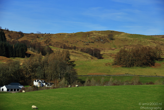 Scenic_Road_Trip_Landscapes_In_The_Scottish_Highlands_Scotland_United_Kingdom_Nature_Photography_Canon_EOS_R5_Mark_II_2026_030.JPG