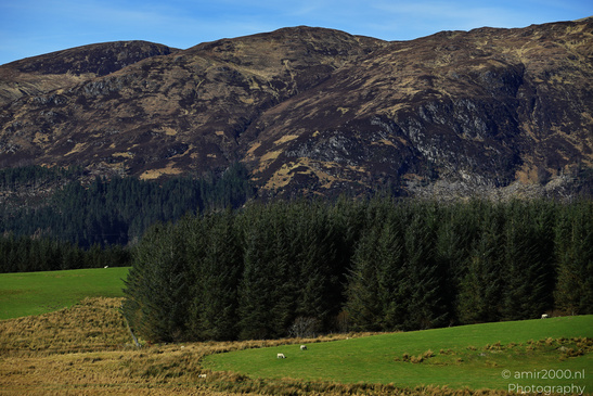 Scenic_Road_Trip_Landscapes_In_The_Scottish_Highlands_Scotland_United_Kingdom_Nature_Photography_Canon_EOS_R5_Mark_II_2026_042.JPG