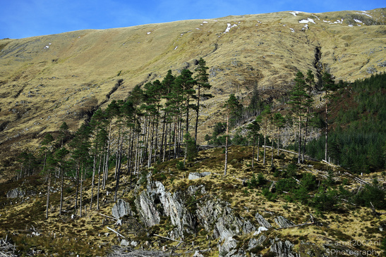 Scenic_Road_Trip_Landscapes_In_The_Scottish_Highlands_Scotland_United_Kingdom_Nature_Photography_Canon_EOS_R5_Mark_II_2026_060.JPG