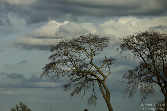 Scenic_Road_Trip_Landscapes_Scotland_United_Kingdom_Nature_Photography_Canon_EOS_R5_Mark_II_2026_005.JPG