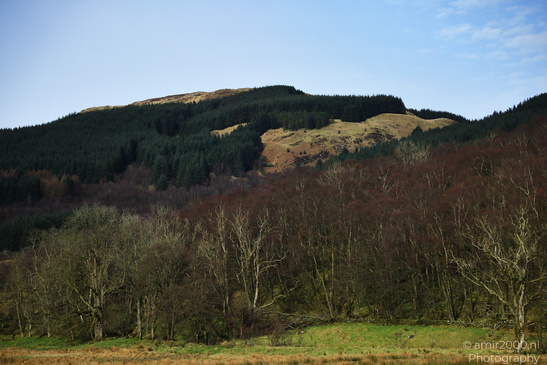 Scenic_Road_Trip_Landscapes_Scotland_United_Kingdom_Nature_Photography_Canon_EOS_R5_Mark_II_2026_011.JPG