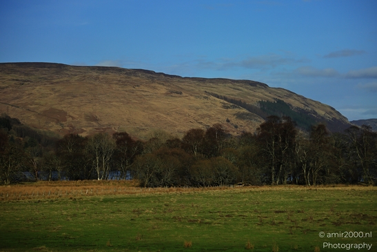 Showcases a serene landscape with rolling hills in the background under a clear blue sky dotted - image from year 2026 #012