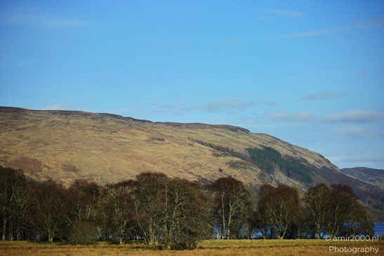 A landscape with rolling hills covered in dry grass and sparse trees, under a clear blue sky - image from year 2026 #013