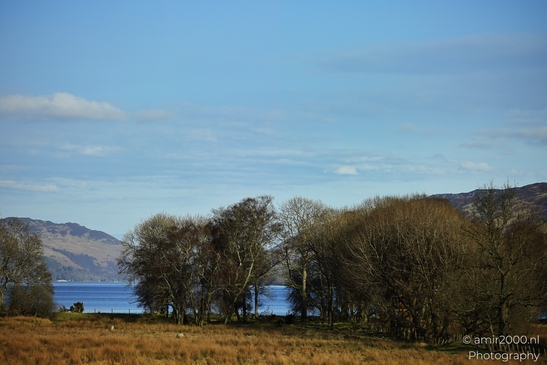 Clear view of trees and lake in the background in Scotland United Kingdom. - image from year 2026 #014