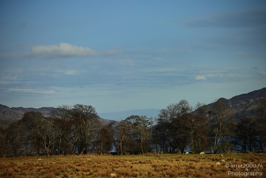 A landscape with a mix of bare deciduous trees and evergreen forested hills under a clear blue - image from year 2026 #015