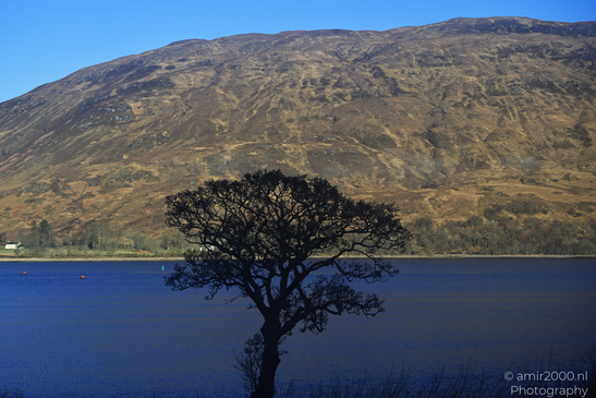 Scenic_Road_Trip_Landscapes_Scotland_United_Kingdom_Nature_Photography_Canon_EOS_R5_Mark_II_2026_023.JPG