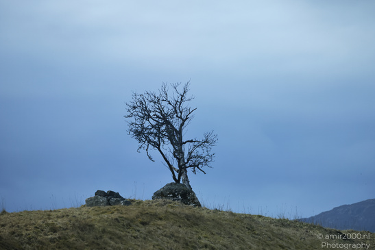 Scenic_Road_Trip_Landscapes_Scotland_United_Kingdom_Nature_Photography_Canon_EOS_R5_Mark_II_2026_024.JPG
