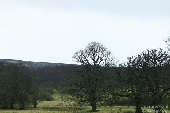 Scenic_Road_Trip_Landscapes_Scotland_United_Kingdom_Nature_Photography_Canon_EOS_R5_Mark_II_2026_032.JPG