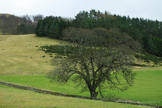 Scenic_Road_Trip_Landscapes_Scotland_United_Kingdom_Nature_Photography_Canon_EOS_R5_Mark_II_2026_034.JPG