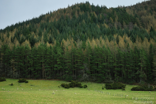 Scenic_Road_Trip_Landscapes_Scotland_United_Kingdom_Nature_Photography_Canon_EOS_R5_Mark_II_2026_035.JPG