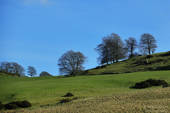 Scenic_Road_Trip_Landscapes_Scotland_United_Kingdom_Nature_Photography_Canon_EOS_R5_Mark_II_2026_037.JPG