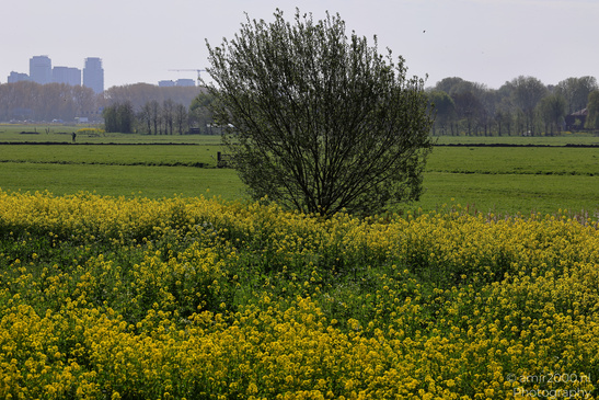 Spring_Scenery_In_Amstelveen_Netherlands_Nature_Photography_Canon_EOS_R5_Mark_II_2026_001.JPG