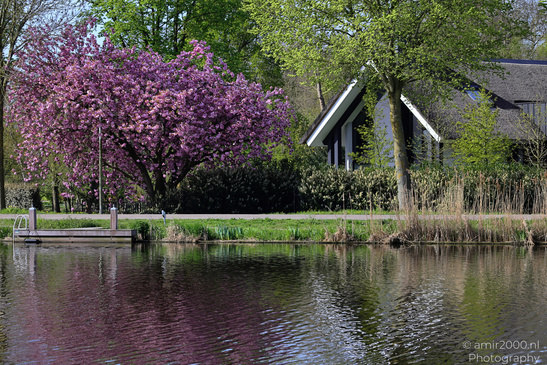 Spring_Scenery_In_Amstelveen_Netherlands_Nature_Photography_Canon_EOS_R5_Mark_II_2026_002.JPG