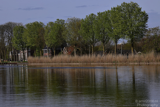 Spring_Scenery_In_Amstelveen_Netherlands_Nature_Photography_Canon_EOS_R5_Mark_II_2026_004.JPG