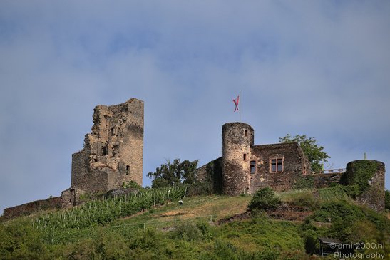Ancient stone castle ruins with a red flag on top, surrounded by greenery and a clear blue sky - image from year 2026 #001