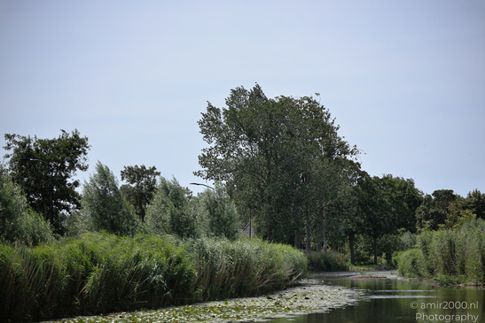 Summer: The serene natural scene with a river in the foreground in Amsterdam, Netherlands. image from year 2026 #2