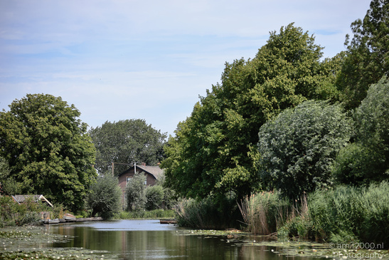A narrow waterway is bordered by dense trees and reeds at De Hoge Dijk in Amsterdam. image from year 2026 #3
