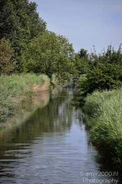 A calm waterway bordered by reeds and dense trees is shown at De Hoge Dijk in Amsterdam. image from year 2026 #7