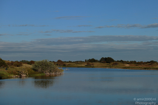 Summer_Evening_Walk_In_Amsterdamse_Waterleidingduinen_Noord_Holland_Netherlands_Nature_Photography_Canon_EOS_R5_Mark_II_2026_021.JPG