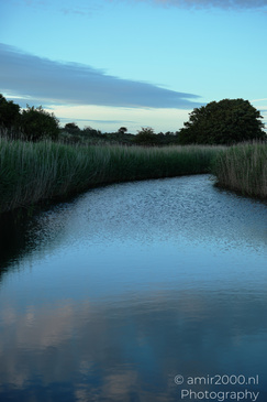 Summer_Evening_Walk_In_Amsterdamse_Waterleidingduinen_Noord_Holland_Netherlands_Nature_Photography_Canon_EOS_R5_Mark_II_2026_033.JPG