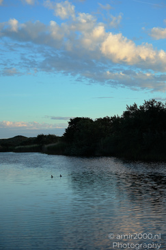 Summer_Evening_Walk_In_Amsterdamse_Waterleidingduinen_Noord_Holland_Netherlands_Nature_Photography_Canon_EOS_R5_Mark_II_2026_034.JPG
