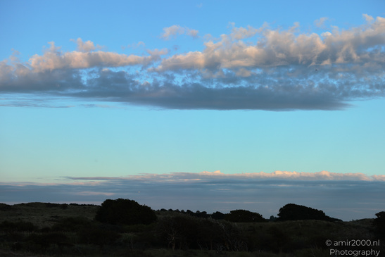 Summer_Evening_Walk_In_Amsterdamse_Waterleidingduinen_Noord_Holland_Netherlands_Nature_Photography_Canon_EOS_R5_Mark_II_2026_035.JPG