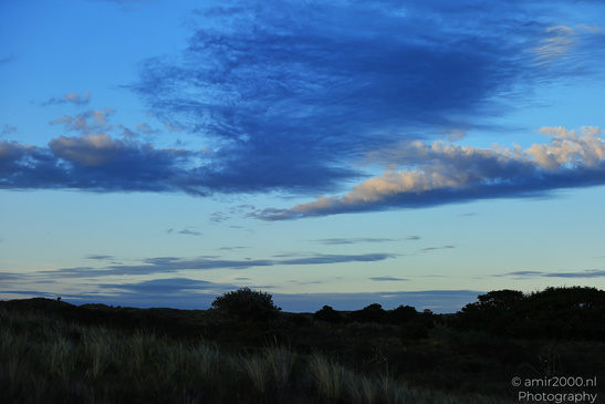 Summer_Evening_Walk_In_Amsterdamse_Waterleidingduinen_Noord_Holland_Netherlands_Nature_Photography_Canon_EOS_R5_Mark_II_2026_036.JPG