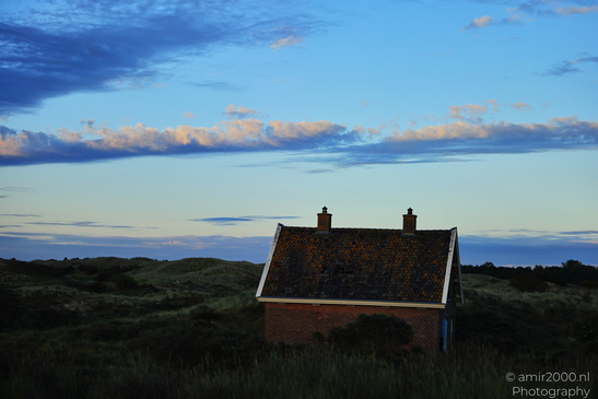 Summer_Evening_Walk_In_Amsterdamse_Waterleidingduinen_Noord_Holland_Netherlands_Nature_Photography_Canon_EOS_R5_Mark_II_2026_041.JPG
