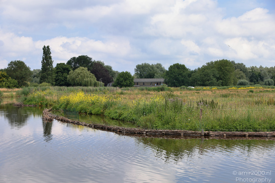 Summer_Scenery_In_Middelpolder_Amstelveen_Netherlands_Nature_Photography_Canon_EOS_R5_Mark_II_2026_003.JPG