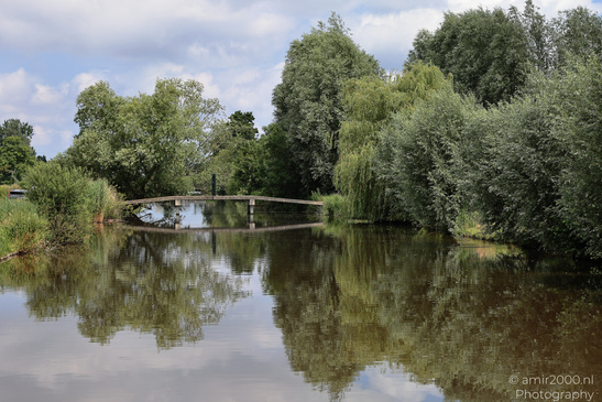 Summer_Scenery_In_Middelpolder_Amstelveen_Netherlands_Nature_Photography_Canon_EOS_R5_Mark_II_2026_004.JPG
