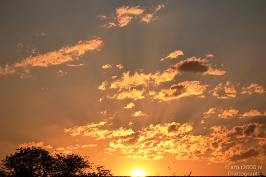 Summer_Sunrise_Over_Amsterdam_Netherlands_Nature_Photography_Canon_EOS_R5_Mark_II_2026_001.JPG