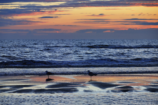 Summer_Sunset_Over_Zandvoort_Beach_Noord_Holland_Netherlands_Nature_Photography_Canon_EOS_R5_Mark_II_2026_021.JPG
