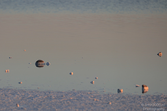 Sunset_Over_Larnaca_Salt_Lake_Larnaca_Cyprus_Nature_Photography_Canon_EOS_R5_Mark_II_2026_008.JPG