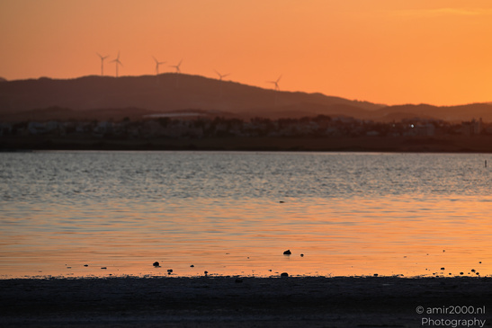 Sunset_Over_Larnaca_Salt_Lake_Larnaca_Cyprus_Nature_Photography_Canon_EOS_R5_Mark_II_2026_011.JPG