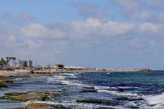 Tel-Aviv_Coast_And_The_Mediterranean_Sea_Israel_Nature_Photography_Canon_EOS_R5_Mark_II_2026_011.JPG